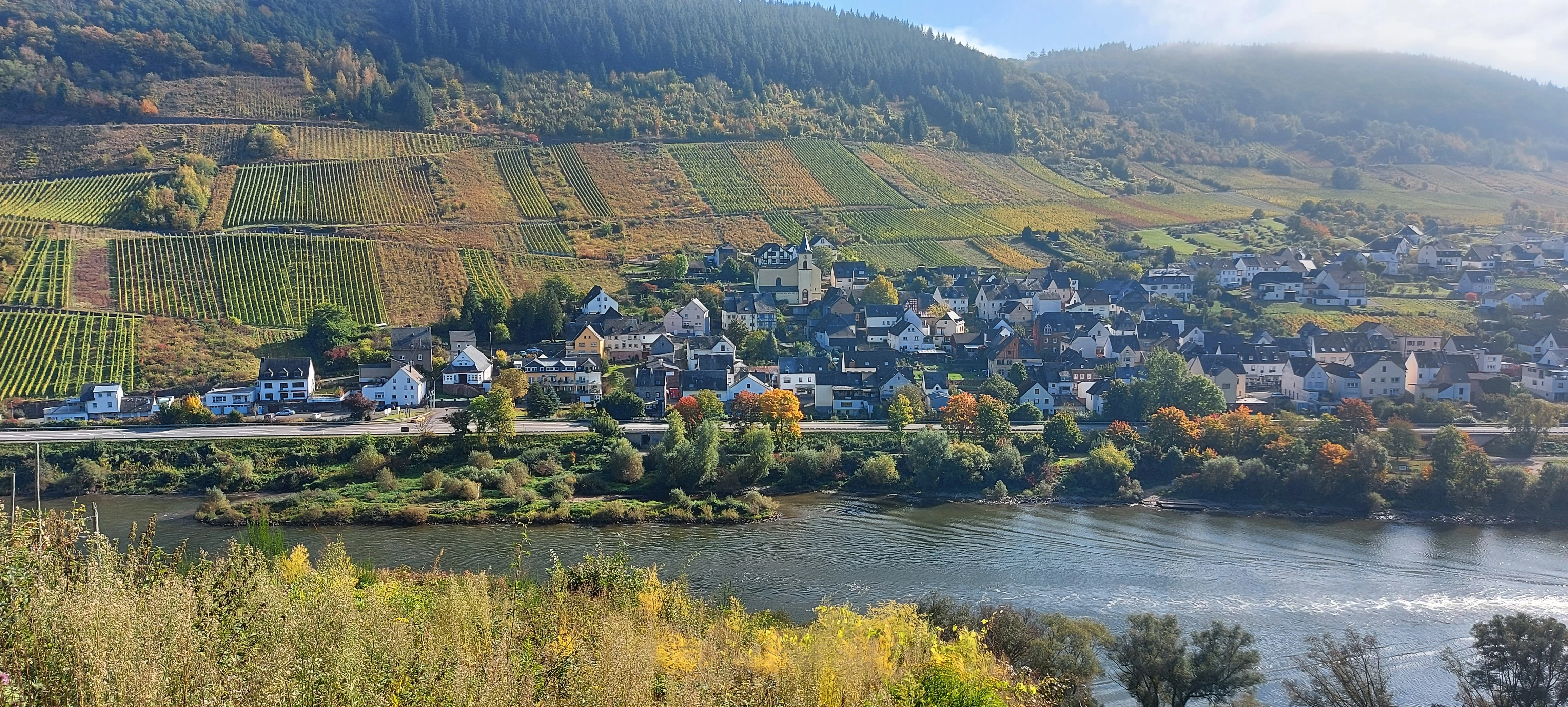 Blick auf den Ort Burg im Herbst