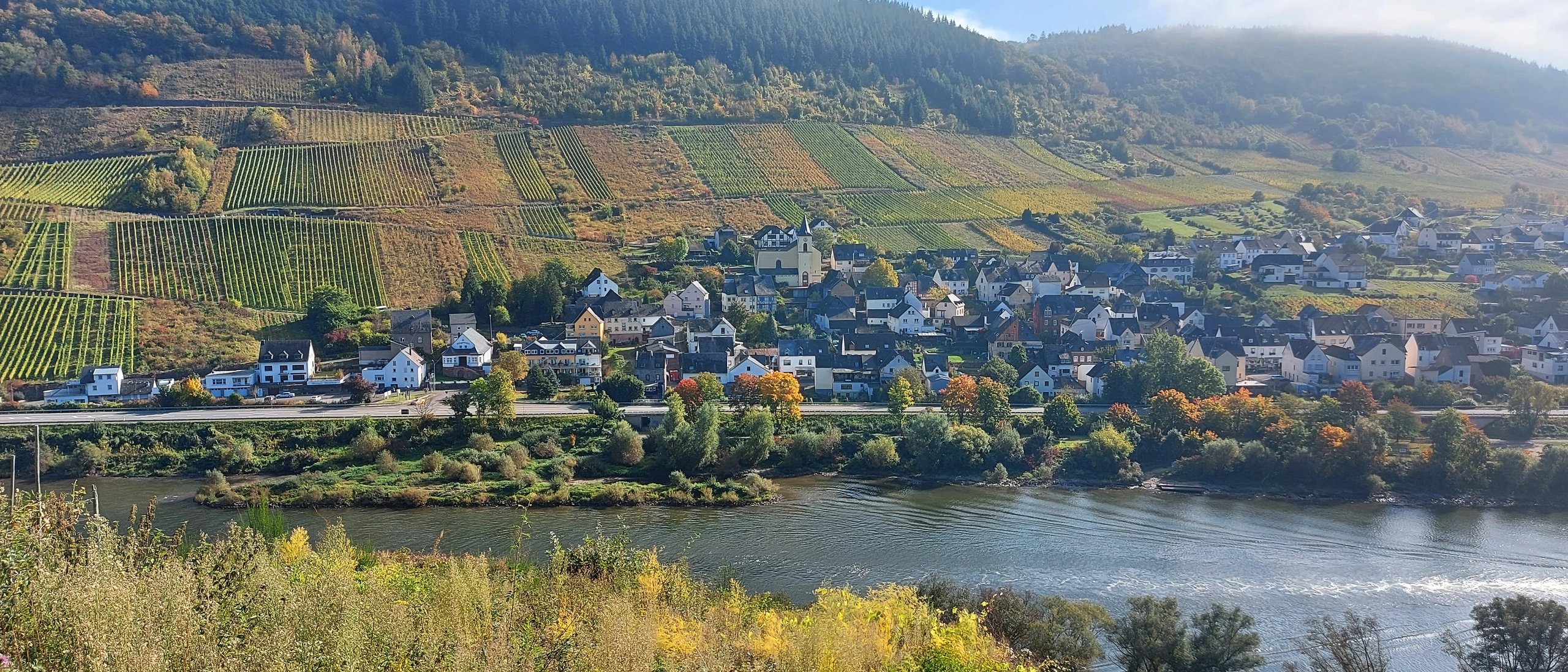 burg-herbstblick-mosel Blick auf den Ort Burg im Herbst