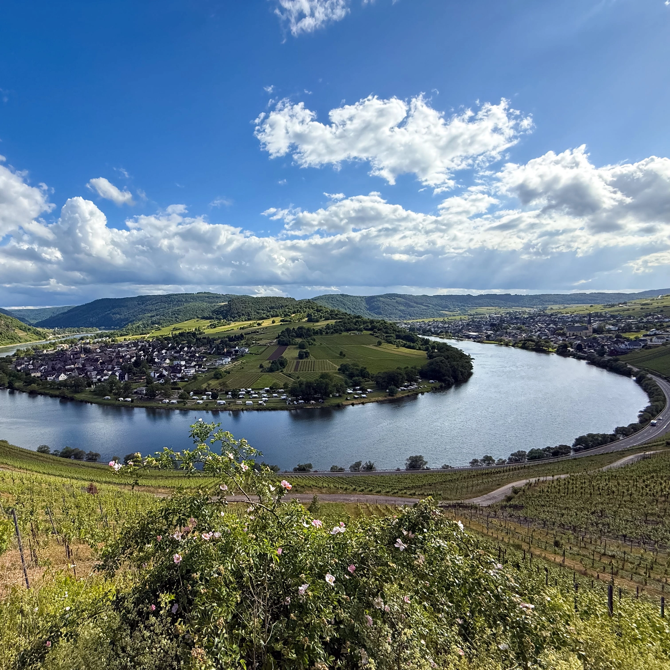 moselschleife-kröv-ausblick Die Moselschleife bei Kröv mit Blick auf Wolf
