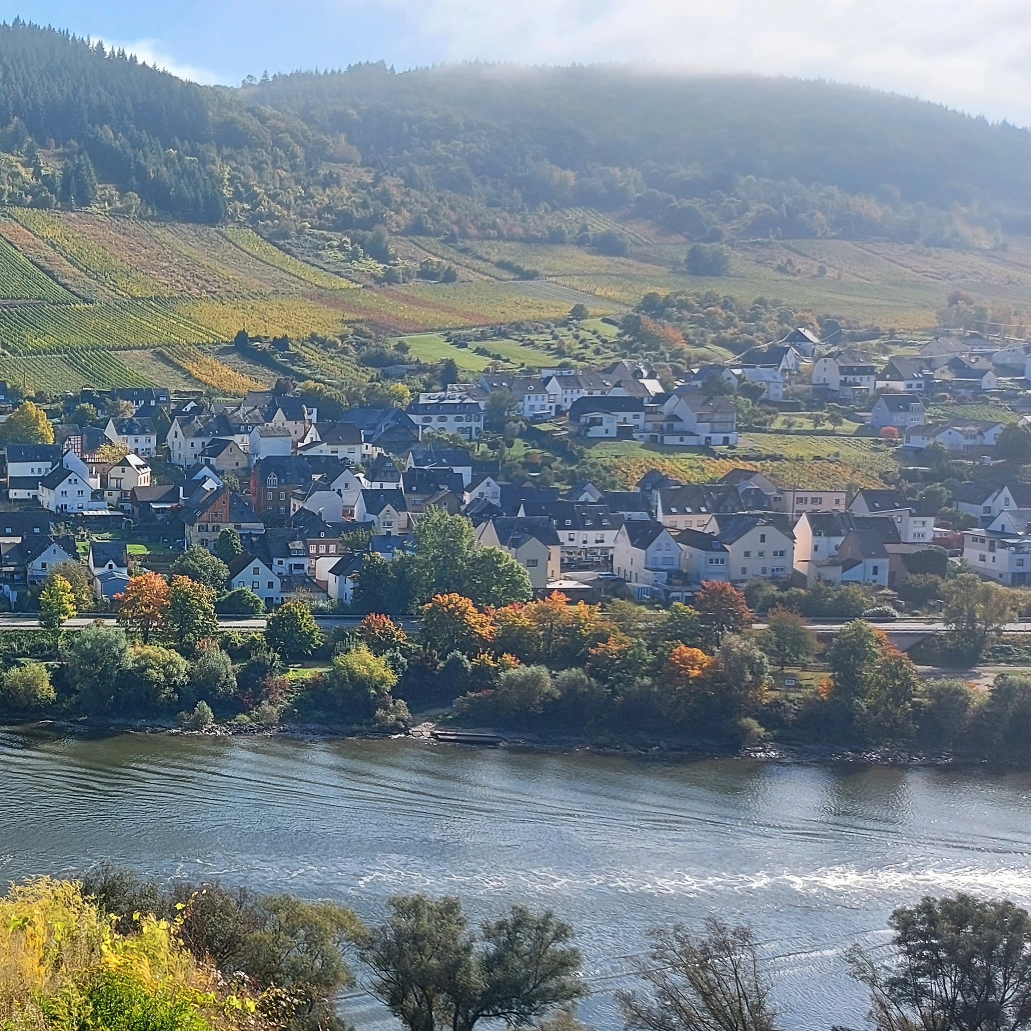 burg-herbstblick-mosel Blick auf den Ort Burg im Herbst
