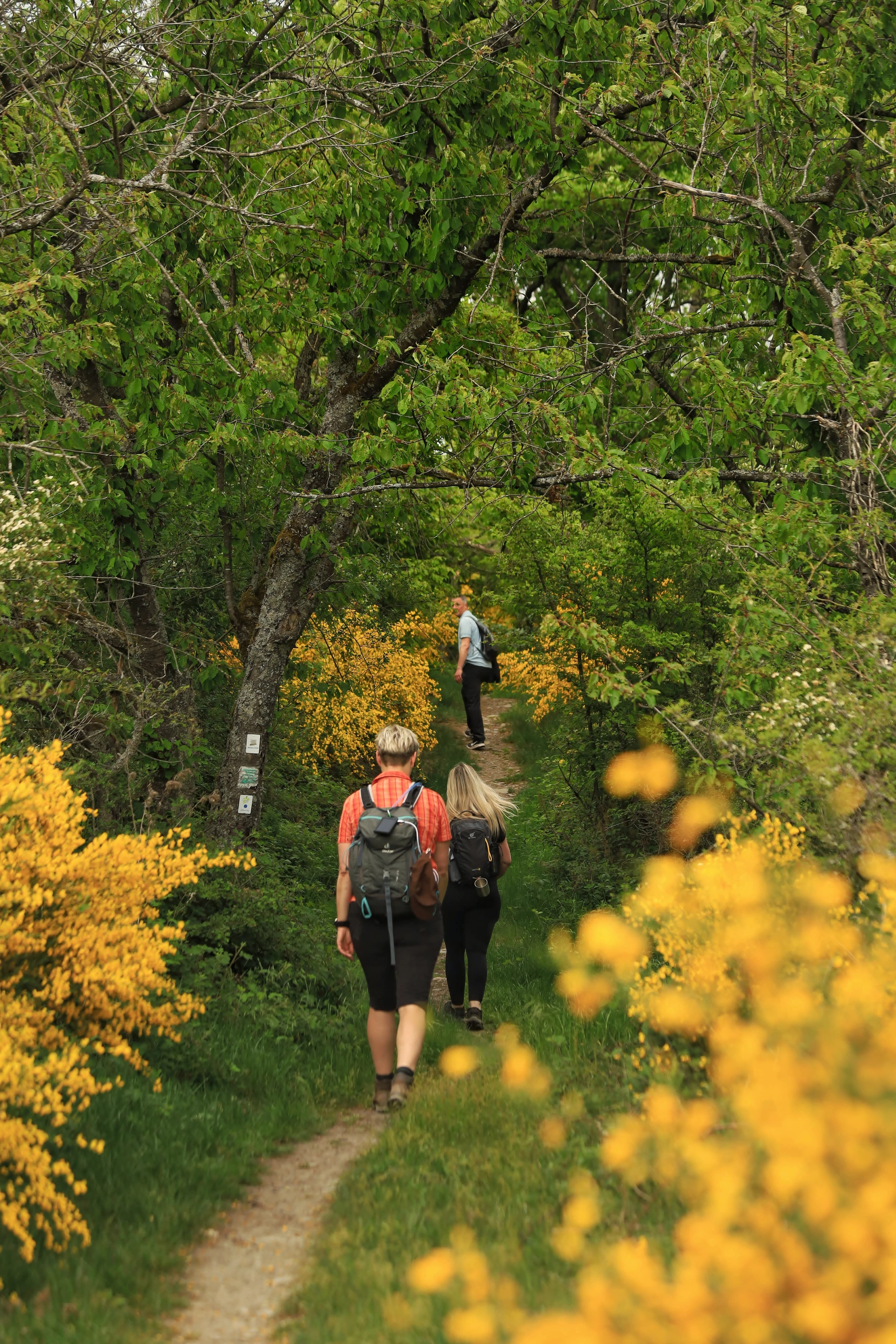 Wandern an der Mosel Wanderwege Mosel